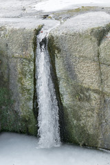 ice drops frozen, freezing point, bright transparent icicles in