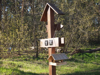 кормушка для птиц висит на указателе направлений в весеннем лесу