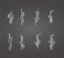 Set of transparent white smoke.