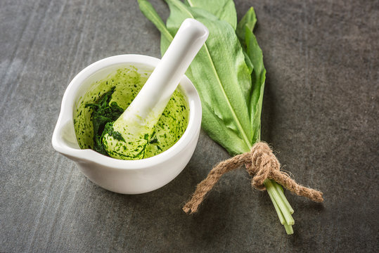 wild garlic leaves with white morter on grey stone background, healthy lifestyle, seasonal spring herb for kitchen, allium, garlic pesto