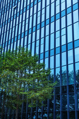 details of a modern office building with a tree
