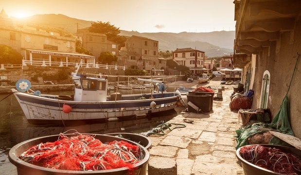 Fishing boats moored in harbour, Centuri, Corsica, France