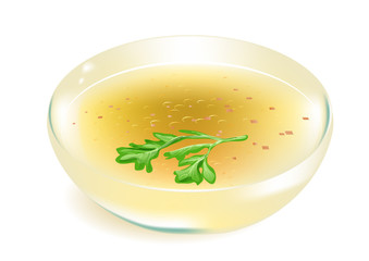 broth on white background
