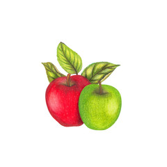 Hand drawn red and green apples