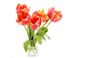 Bouquet red tulips in a glass jar