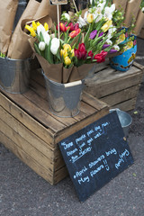  Flowers at Colambia flower market. 