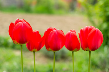 Obraz premium Touch of the nature