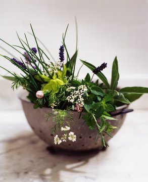 Vintage strainer full of herbs and herb flowers