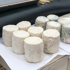 cretan soft cheese for sale on local farmers market