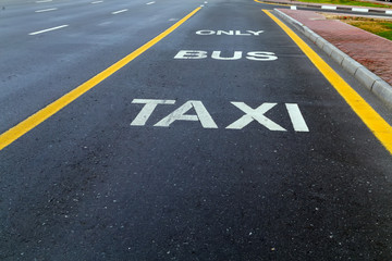 Bus and taxi sign painted on street