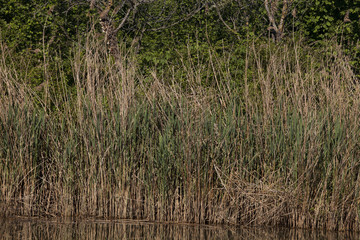 Obraz premium lake views and reflections 