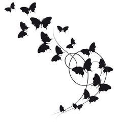 butterflies design