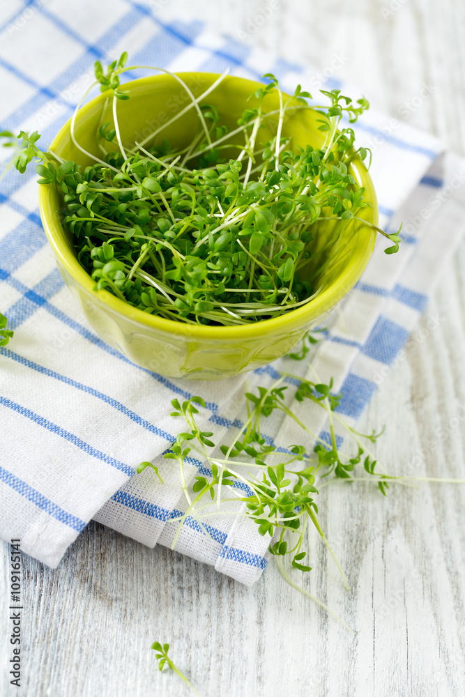 Poster garden cress ready to be eaten