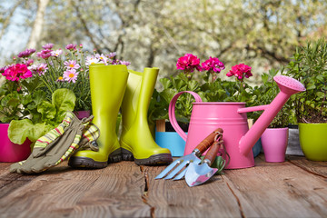 Outdoor gardening tools on old wooden table