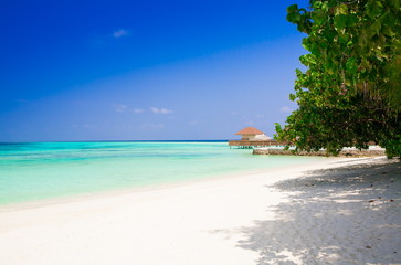 Maldives,  tropical sea background 3!