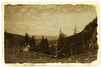 Large dinosaurs in a forest