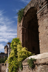 The arch on The Roman Forum