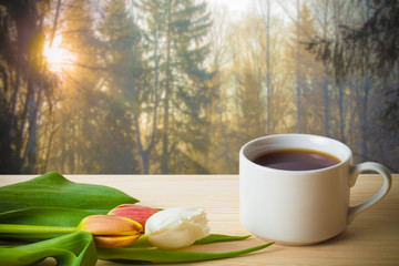 Tea cup with tulips on the wooden table opposite blurred backgro