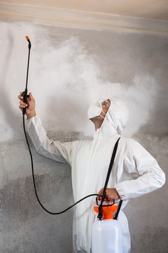 Manual Worker Using Pest Spray On Wall