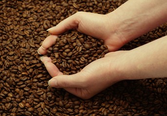 Woman hands and freshly roasted coffee beans