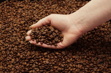 Woman hand and freshly roasted coffee beans