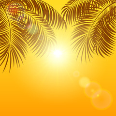 Palms on orange background