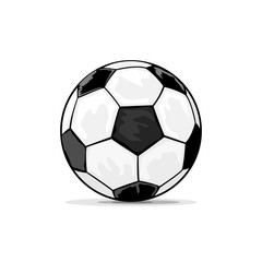 Fototapeta premium Soccer ball