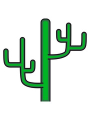 large desert cactus design pattern