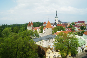 Fototapeta premium Spring view of Tallinn from the observation deck. Red roofs of the houses and the Town Hall on the blue sky background.