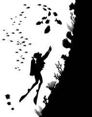 diving Silhouettes and underwater life