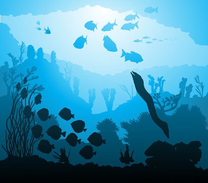 underwater world with marine life