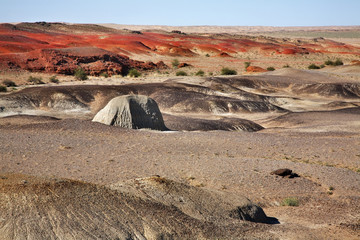 Gobi Desert near Sainshand. Mongolia