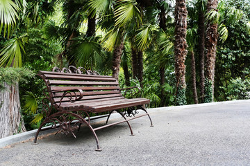 Obraz premium Wooden bench in the park