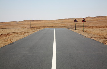 Road in Gobi Desert near Sainshand. Mongolia