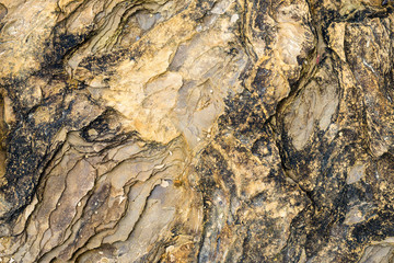 Laminated rocky surface from the riverbed of the mountain river