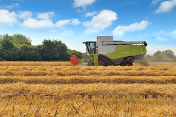 Obraz premium Moissonneuse en action sur un champ de blé