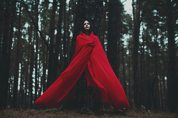 Red Hooded Woman Holding Apple Fairytale Portrait - Fairytale im