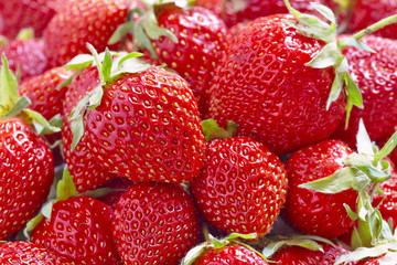 Strawberry - full frame