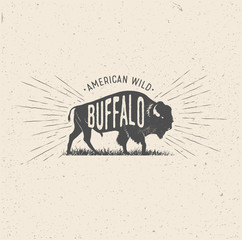 Wild Buffalo. Vintage styled vector illustration of the american buffalo.  - obrazy, fototapety, plakaty