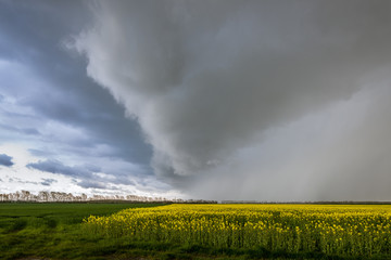 Gef&auml;hrliche Unwetterfront Sturmfront zieht &uuml;ber den Barnim, Bernau, Brandenburg, Deutschland,