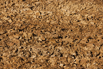  plowed land. close-up.