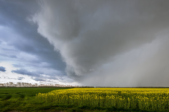 Gefährliche Unwetterfront Sturmfront zieht über den Barnim, Bernau, Brandenburg, Deutschland, © mirkograul