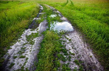 Dirt road with puddles in the green field