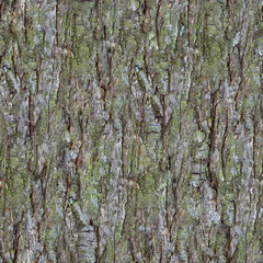 Pine Bark Pattern