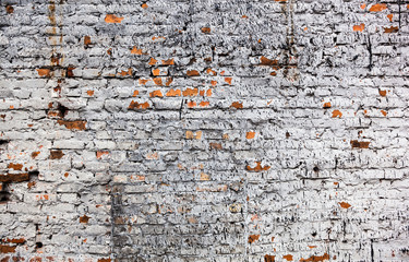 The old whitewashed brick wall © rootstocks