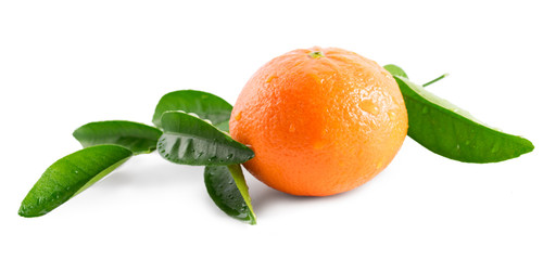 Mandarin orange (tangerine) isolated on white background