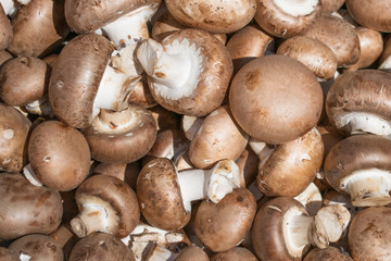 Background of whole mushrooms champignon