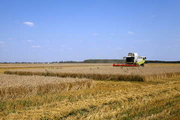  Harvester in the field
