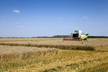 Obraz premium Harvester in the field 
