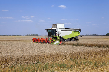 Harvester in the field  